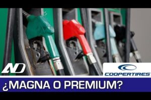Descubre qué gasolina usar en tu coche con estos consejos